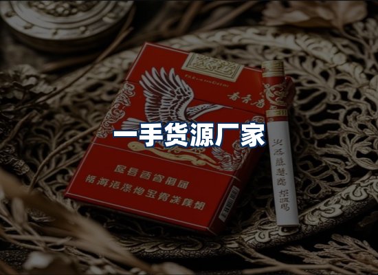 专业团队办公环境